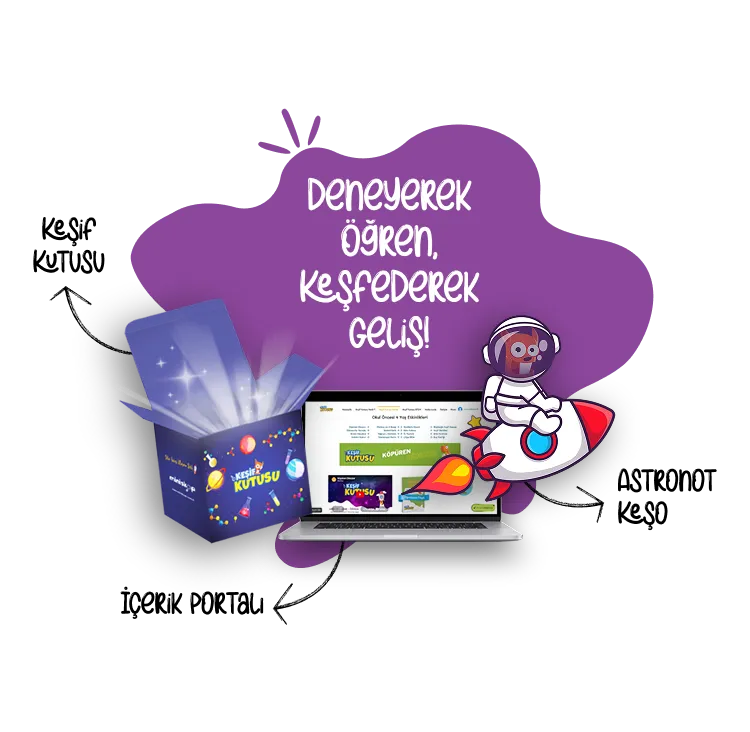Mobil Keşif Kutusu